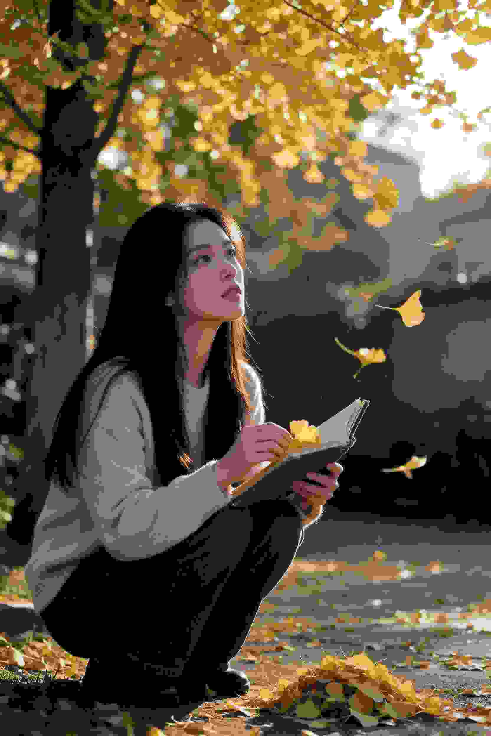 灵魂的映照
